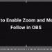 How to Enable Zoom and Mouse Follow in OBS