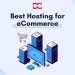 Best Hosting Services for eCommerce