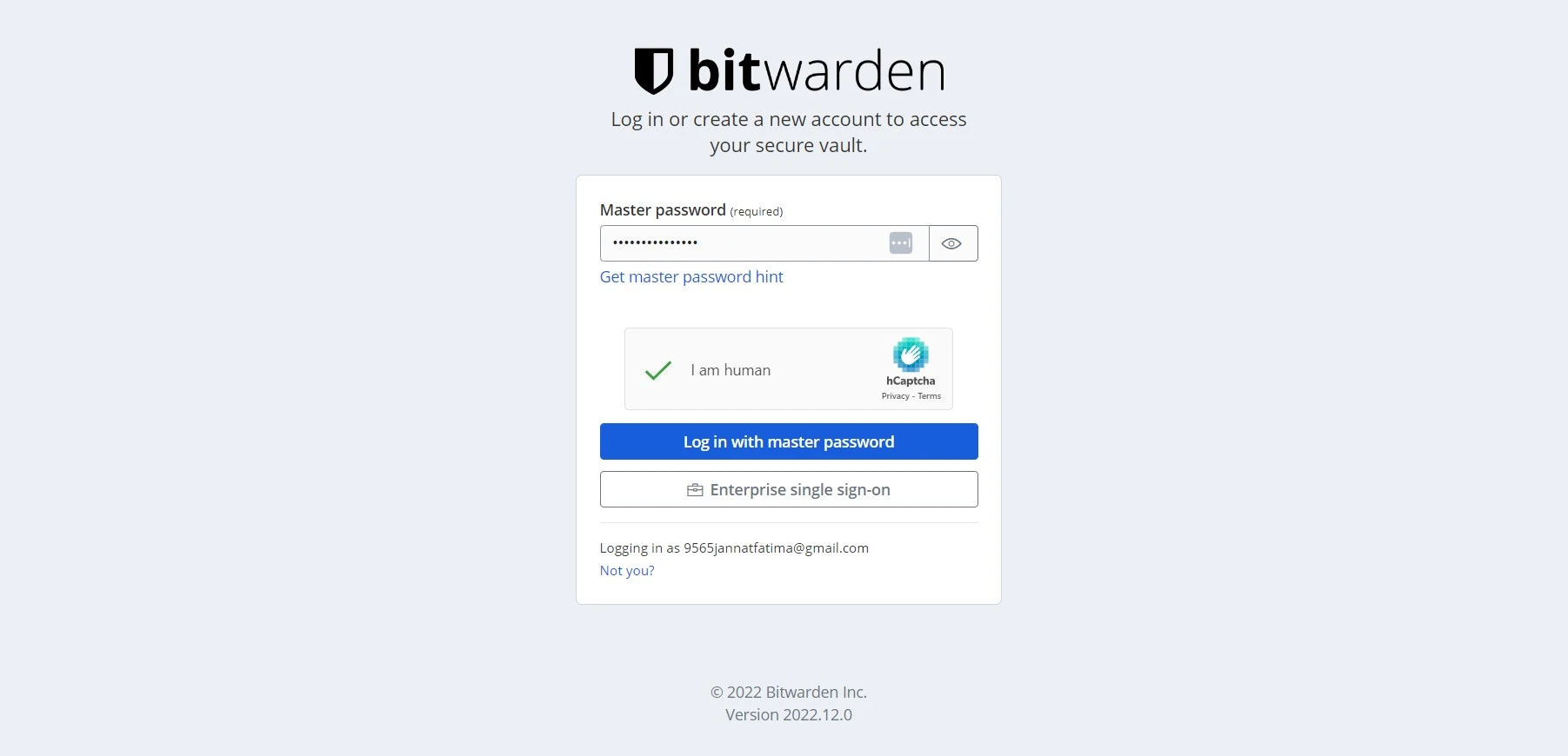 Bitwarden log in with master password